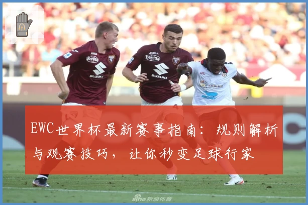 EWC世界杯最新赛事指南：规则解析与观赛技巧，让你秒变足球行家