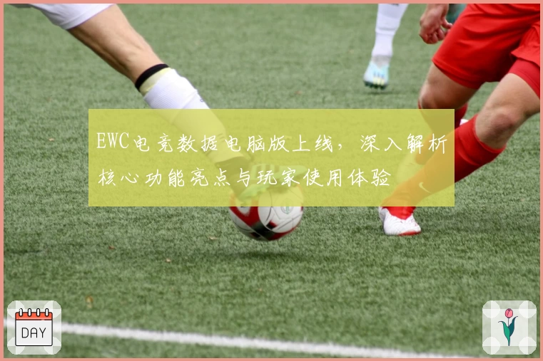 EWC电竞数据电脑版上线，深入解析核心功能亮点与玩家使用体验