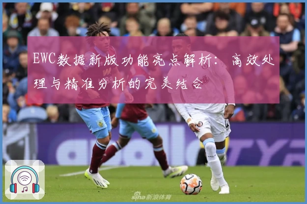 EWC数据新版功能亮点解析：高效处理与精准分析的完美结合
