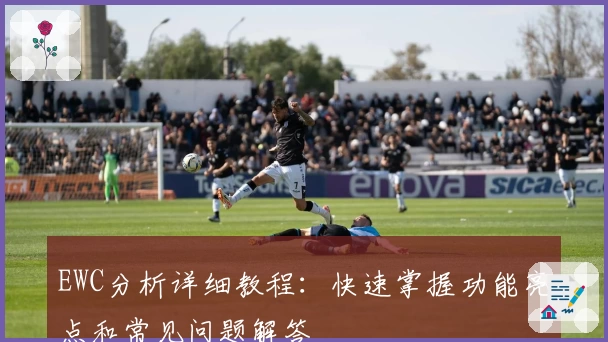 EWC分析详细教程：快速掌握功能亮点和常见问题解答